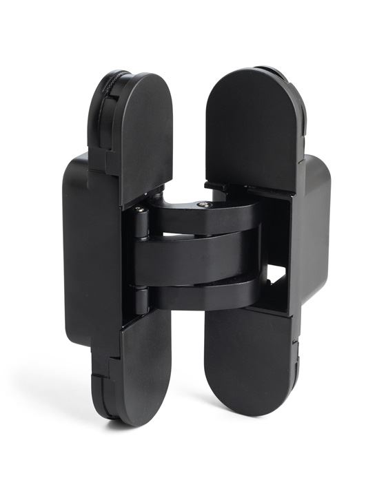 ציר נסתר שחור