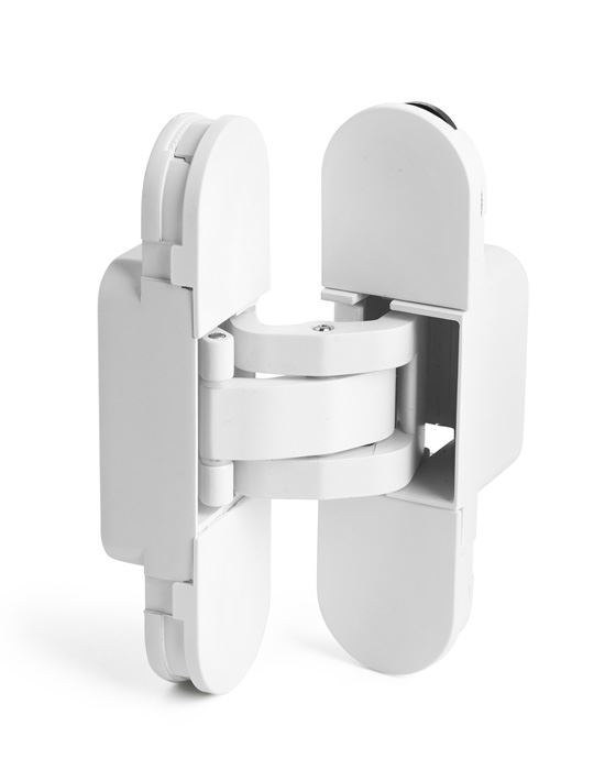 ציר נסתר לבן